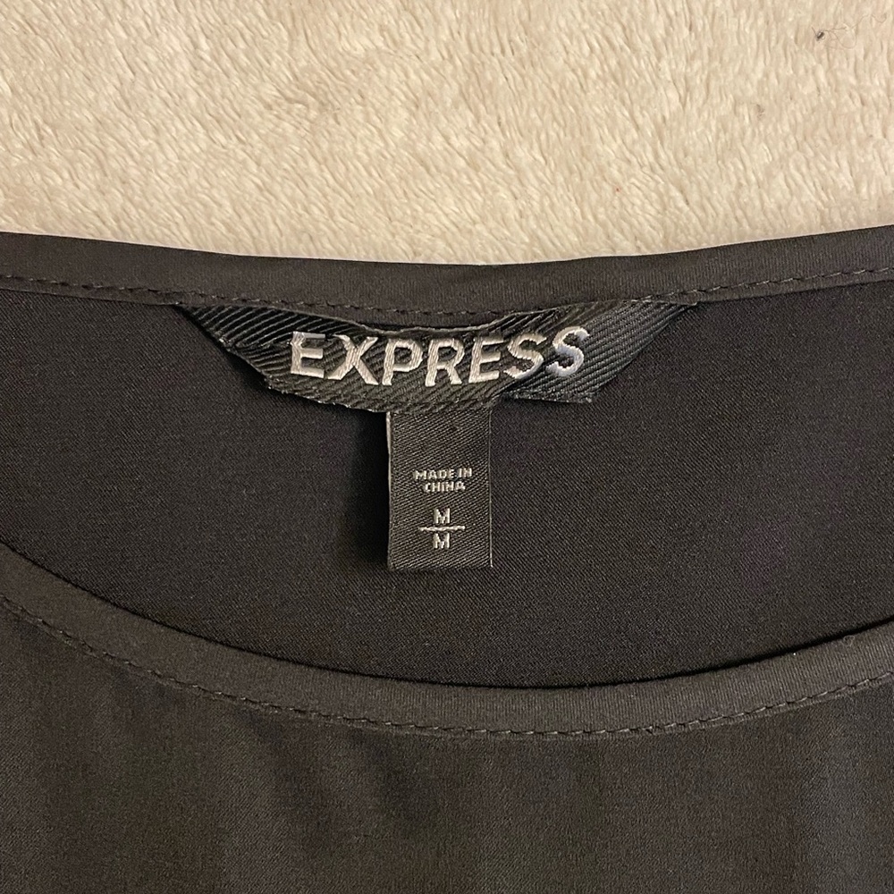 Express: Zebra Print Dress - image 2